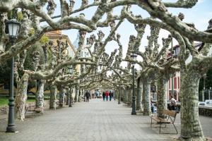 Apartamento los Avines