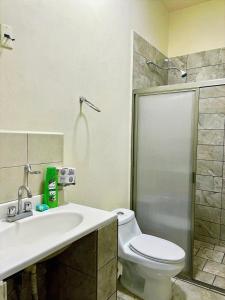 Departamento Obelisco, cerca de bugambilias