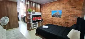 1br Air Conditioned Studio Buenos Aires - Limoncito