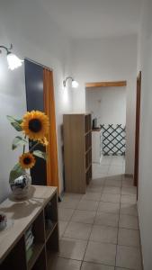 Saint Peter Apartment