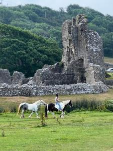 Luxury Modern 3 Bedroom House