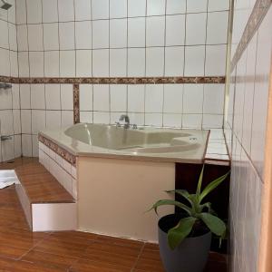 Arenal Roca Lodge & Bungalows