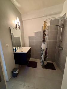 Appartements Mise en Seine : photos des chambres