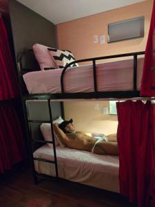 Spartacus hostel boutique for men