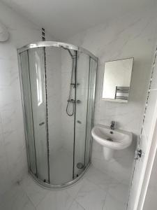 Stylish beachfront penthouse