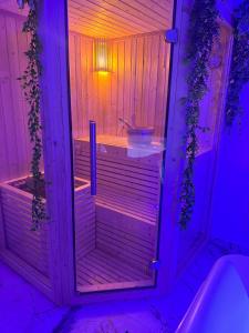 Loveroom de luxe avec jacuzzi sauna vapeur écran 300 cm