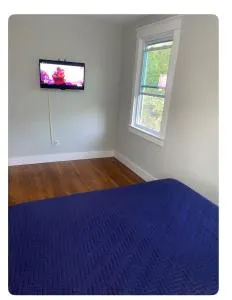 Ewing comfort stay - Ewing