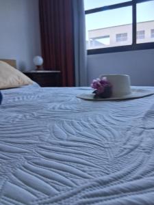 Home 2 BED ROOM & WIFI FREE LA PALMA CITY