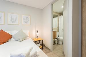 Modern and comfortable 1BR 1BA in Santiago