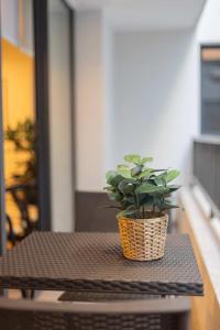 Modern and comfortable 1BR 1BA in Santiago