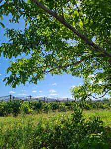 Eco loft en Finca Vanek