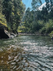 Nuoca Urubici - Cabana
