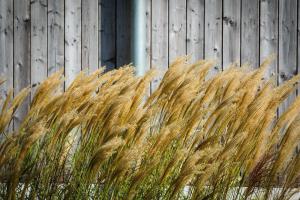 Maasparcje ecoLodge K2 Roermond