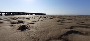 APPARTAMENTO GIALLO - OVER THE RAINBOW APARTAMENTS - LIDO di JESOLO - 4 POSTI LETTO