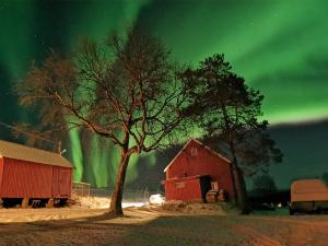 Feriehus ved Fjellfroskvatnet