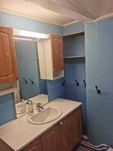 Feriehus ved Fjellfroskvatnet