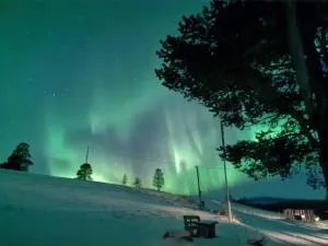 Feriehus ved Fjellfroskvatnet - Fossmoen