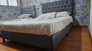 Colisseum Roma - Vive Claro -El cubo movistar campin