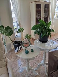 Hospedaria Querencia