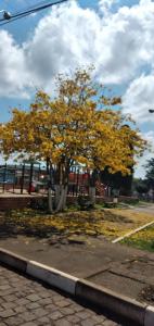 Hospedaria Querencia