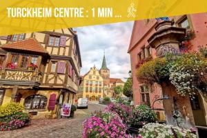 Appartements Refuge des Vignerons - Turckheim : photos des chambres