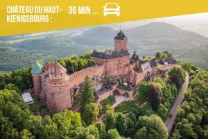 Appartements Refuge des Vignerons - Turckheim : photos des chambres
