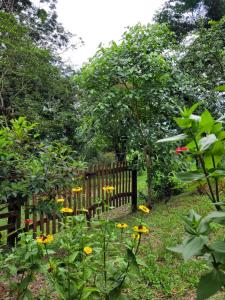 Nosso Quintal Candeias - Cabana Flamboyant