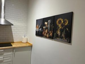 Bica Apartment by Pedro