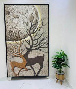 استوديو بتصميم فاخر