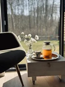 Apartamenty Kacprowy - Brzegi Lasu - Giewartów