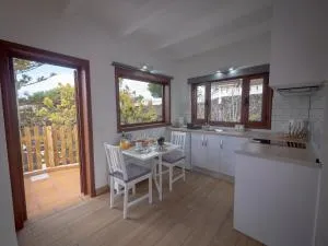 Casa volcánica El Cabezo - El Islote