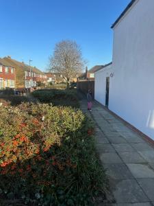 London Comfort Apartment