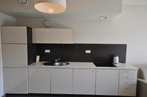 One-Bedroom Apartment room in Szklane Domy