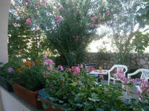 Apartments with parking space Privlaka, Zadar - 24002