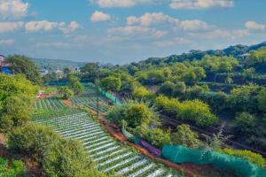 Saanjh Riverside Resort