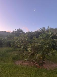 Casa com cachoeira privativa