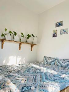 Đường Lâm Homestay - Elephants House