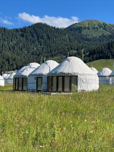 Karkyra Yurt Glamping