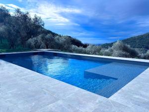 Villa in Tuscany with Pool and Olive Grove
