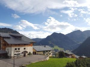 Studio confortable à Châtel avec WiFi et parking couvert - FR-1-676-215