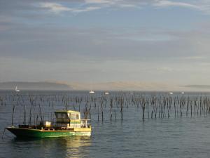 Appartements Arcachon Centre - T2 Confortable avec Balcon et Parking Prive - FR-1-420-156 : photos des chambres