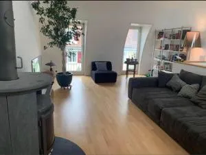 House with garden - Birsfelden