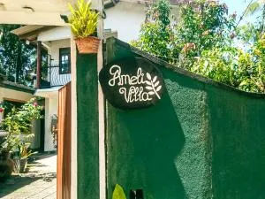 Ameli villa - Kamburugamuwa