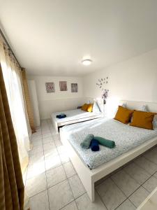 Rosny Sous Bois très charmant lappartement en plein centre ville et verdure