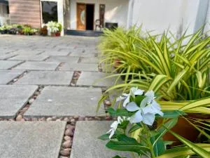 Orchard House - Chacka