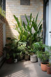 Dori Homestay