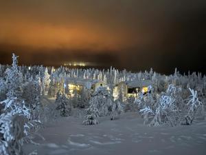 AuroraLevi Utsuvaara Retreat, Ski-In-out, 2 ski pass included to price
