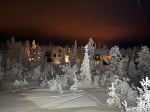 AuroraLevi Suites Utsuvaara Northern Lights Retreat, Ski-In-out, 2 ski pass included to price