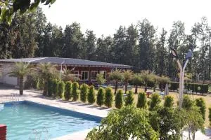 Birsani Cafe and Resort - Chūharpur