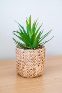 Modern Coastal 2BR Condo Near Airport & Samal